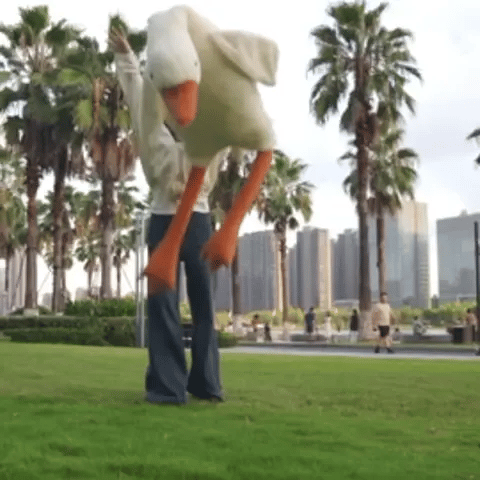 [COMPRE 1 LEVE 2] Pelúcia - Silly o Ganso